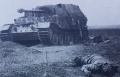 Ferdinand - Sturmgeschütze - 200 mm Panzerung.jpg
